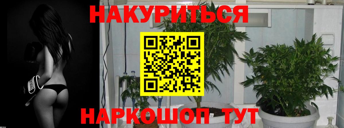 Каннабис семена Тара
